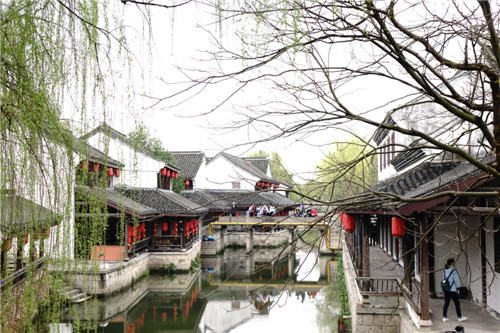 DSC05444.jpg DSC05444.jpg