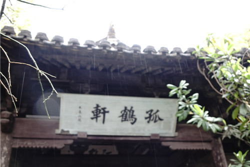 DSC05789.jpg