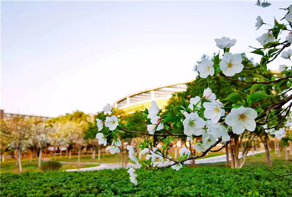 mmexport1584790205978.jpg mmexport1584790205978.jpg