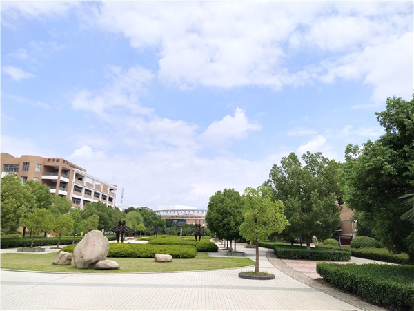 IMG_20190811_133412.jpg IMG_20190811_133412.jpg