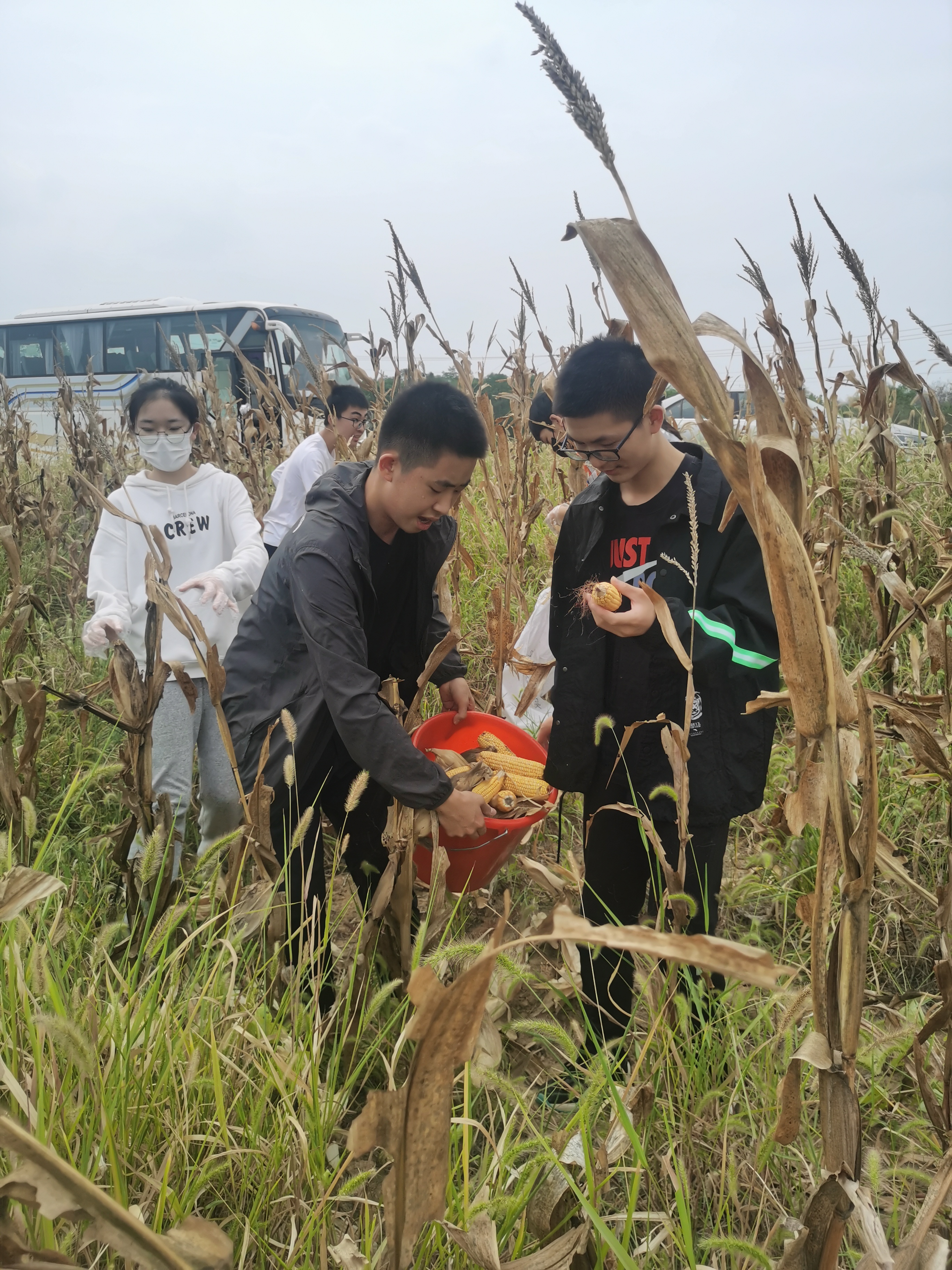 IMG_20220923_134838.jpg IMG_20220923_134838.jpg