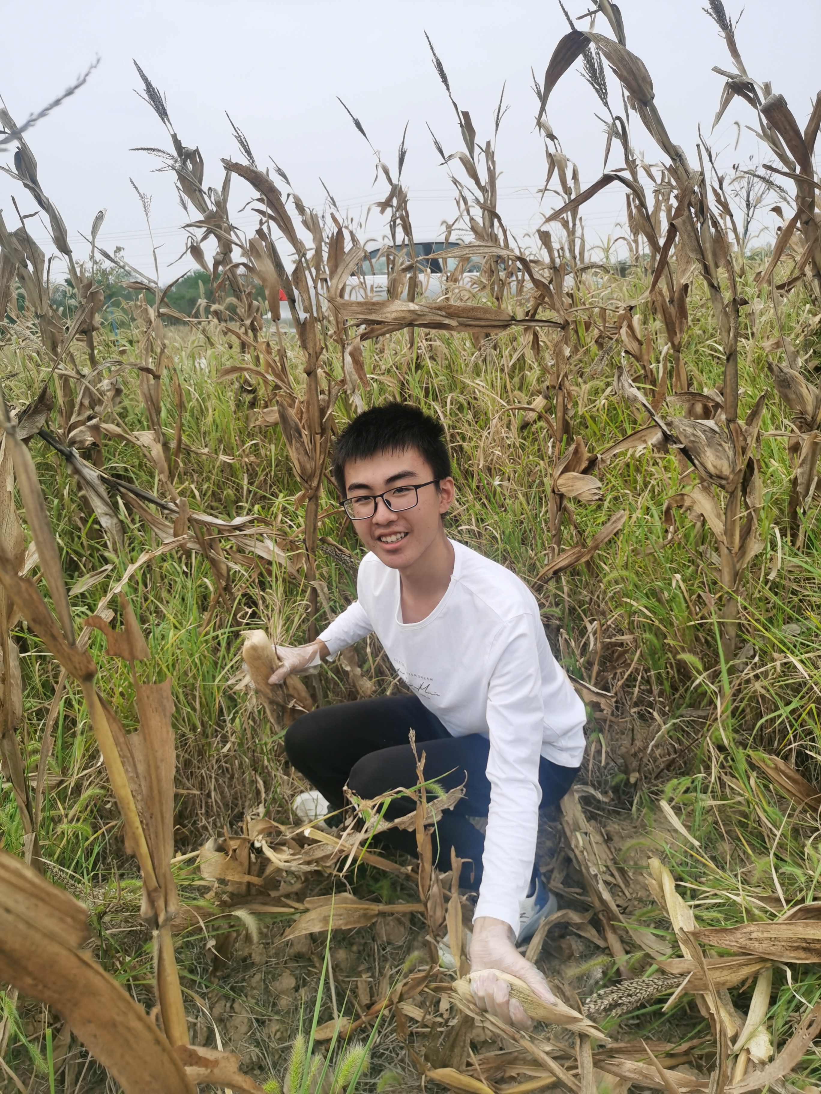 IMG_20220923_134947.jpg IMG_20220923_134947.jpg