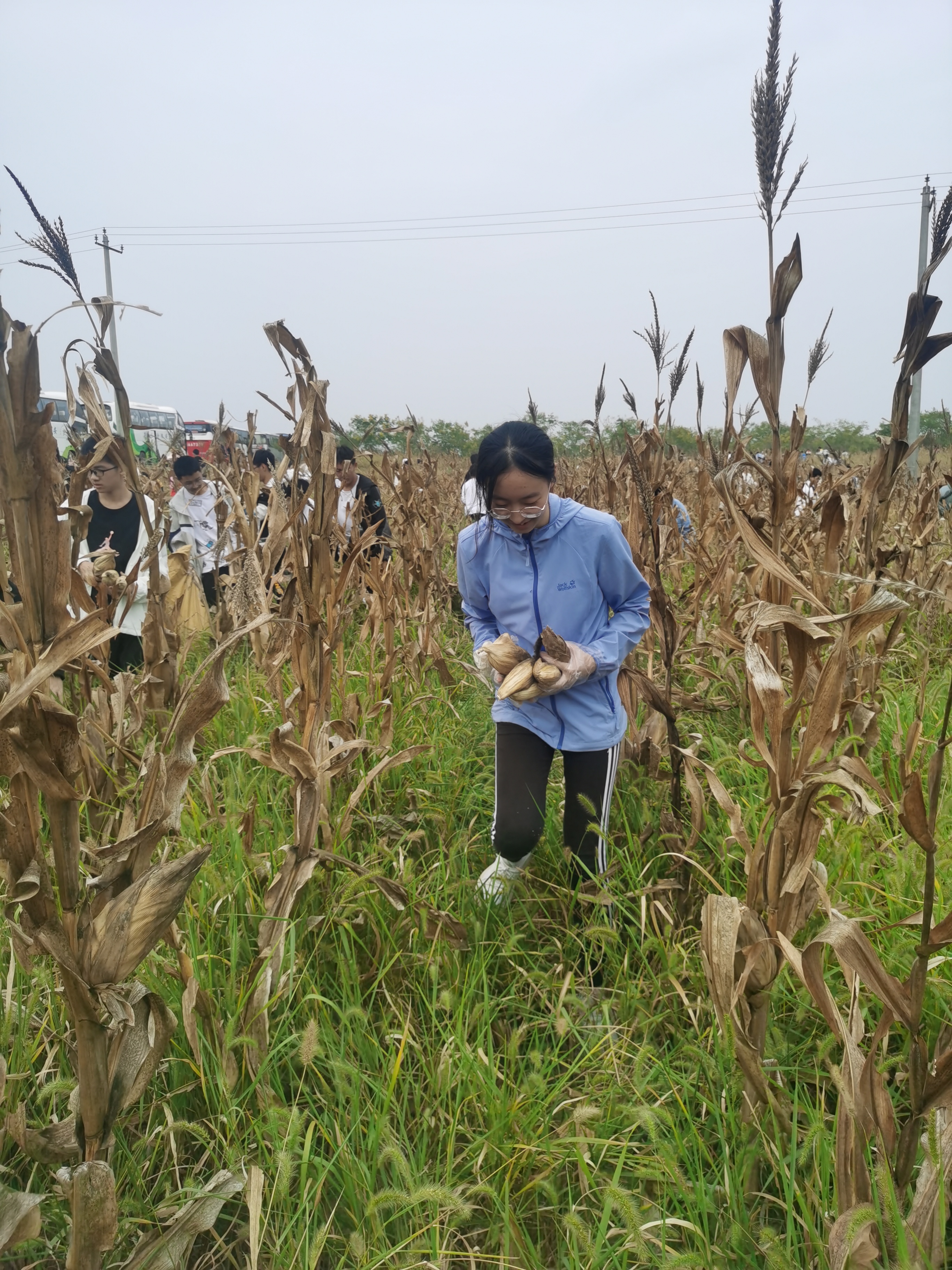 IMG_20220923_135046.jpg IMG_20220923_135046.jpg