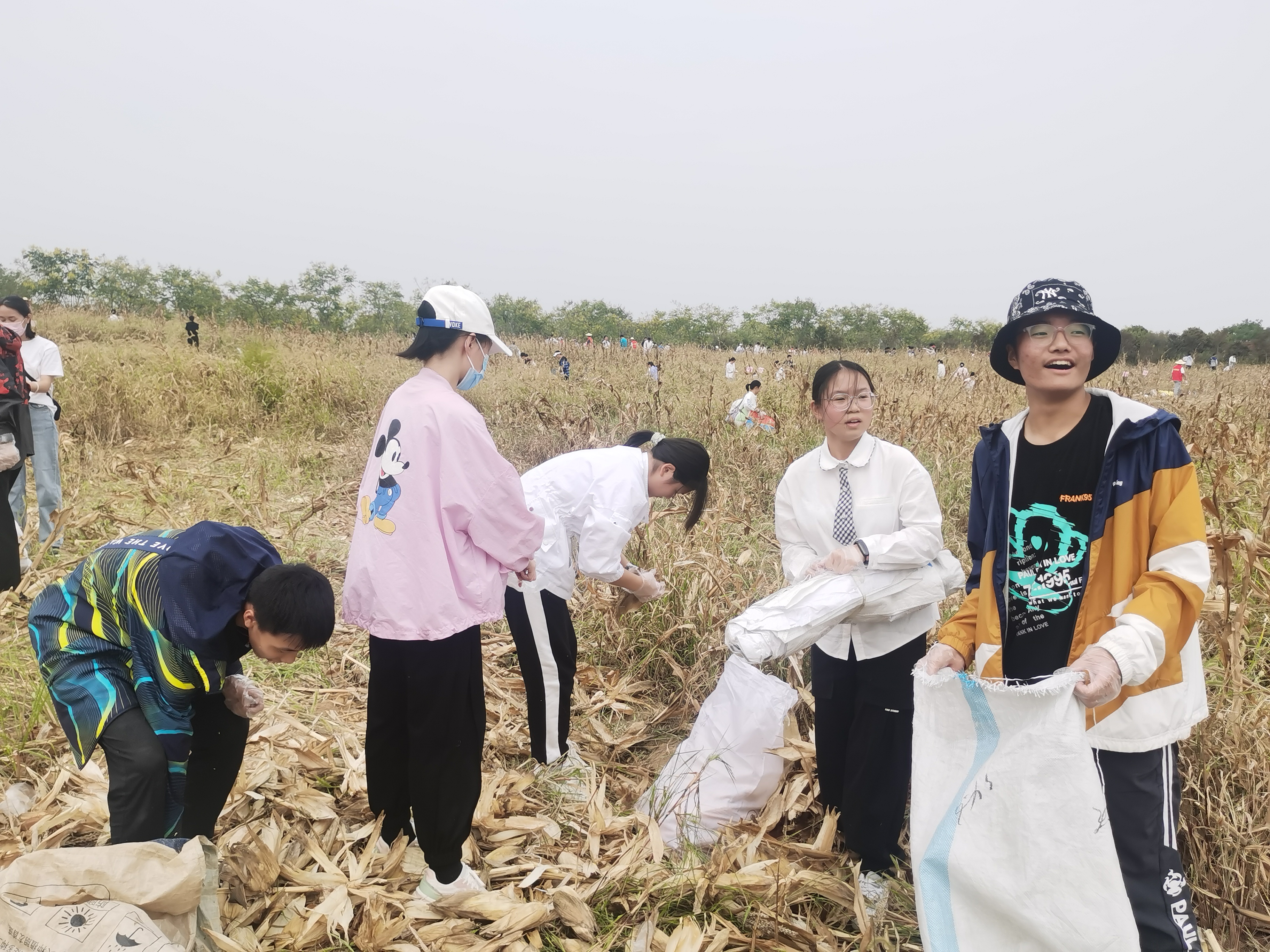 IMG_20220923_135643.jpg IMG_20220923_135643.jpg