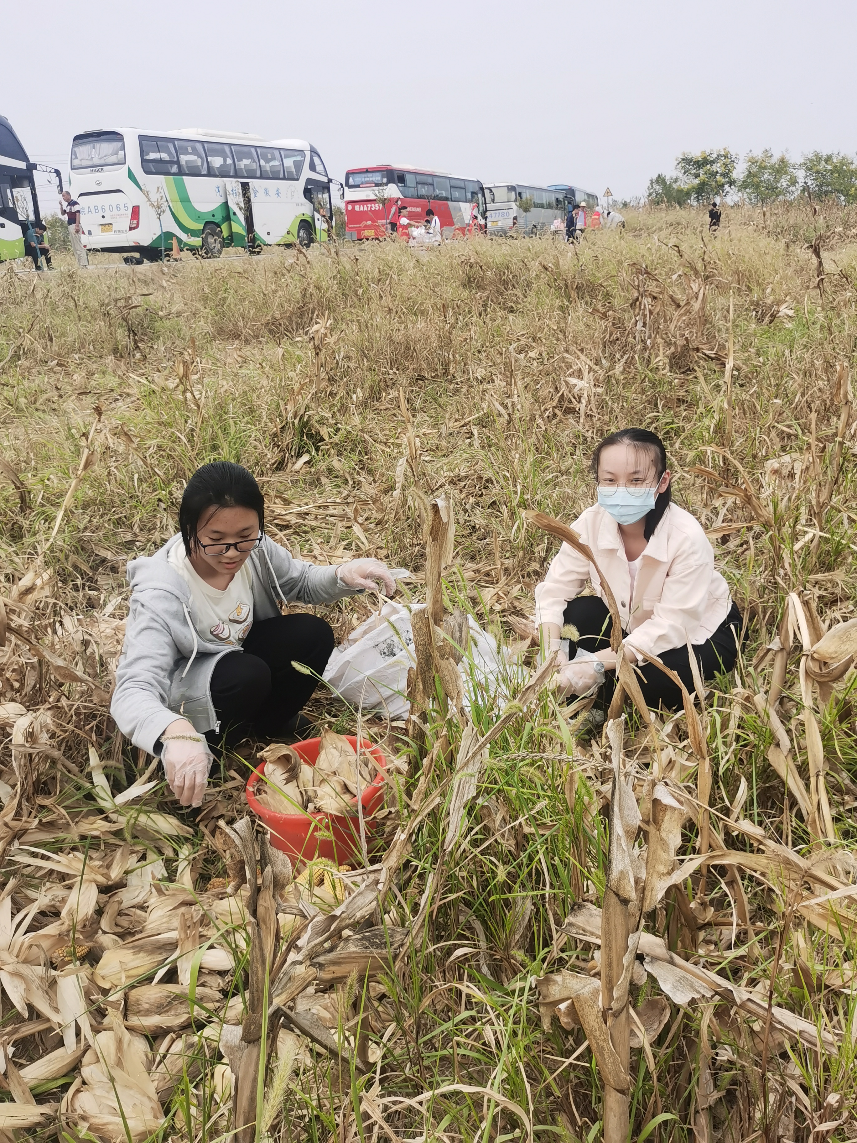 IMG_20220923_135739.jpg IMG_20220923_135739.jpg