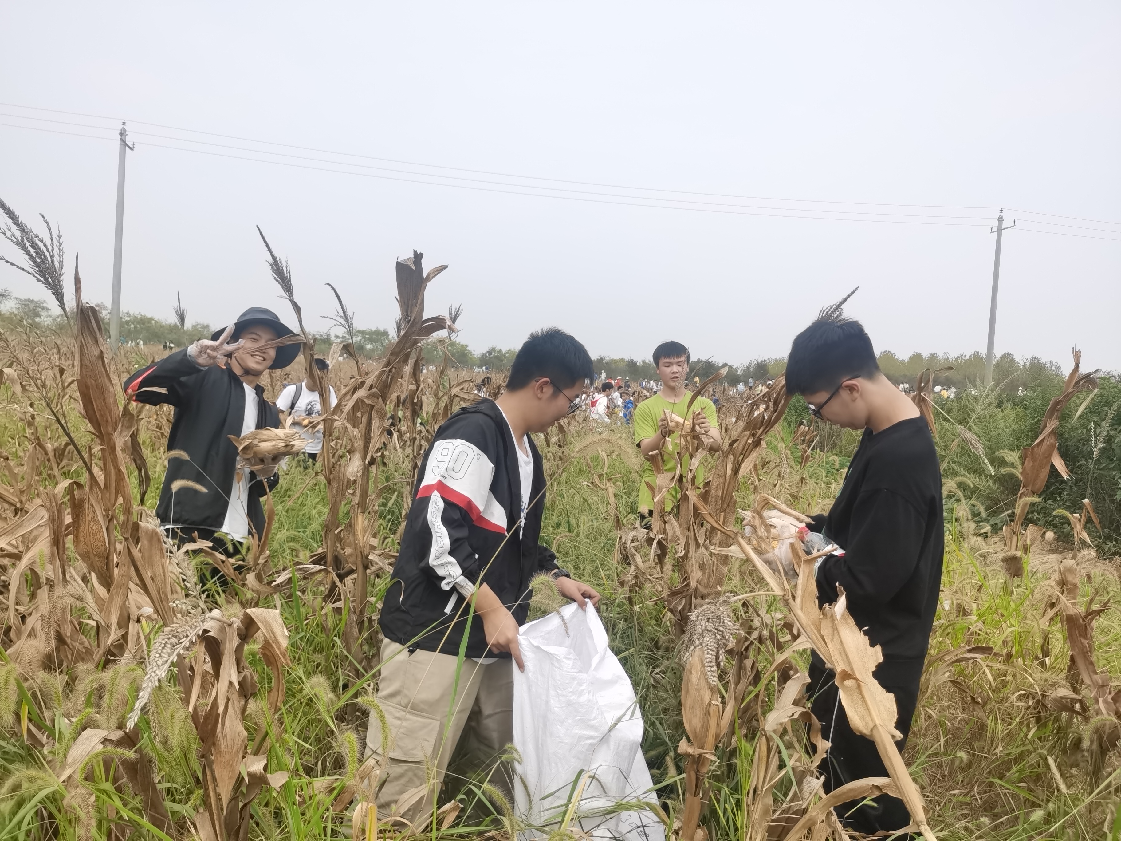 IMG_20220923_135909.jpg IMG_20220923_135909.jpg