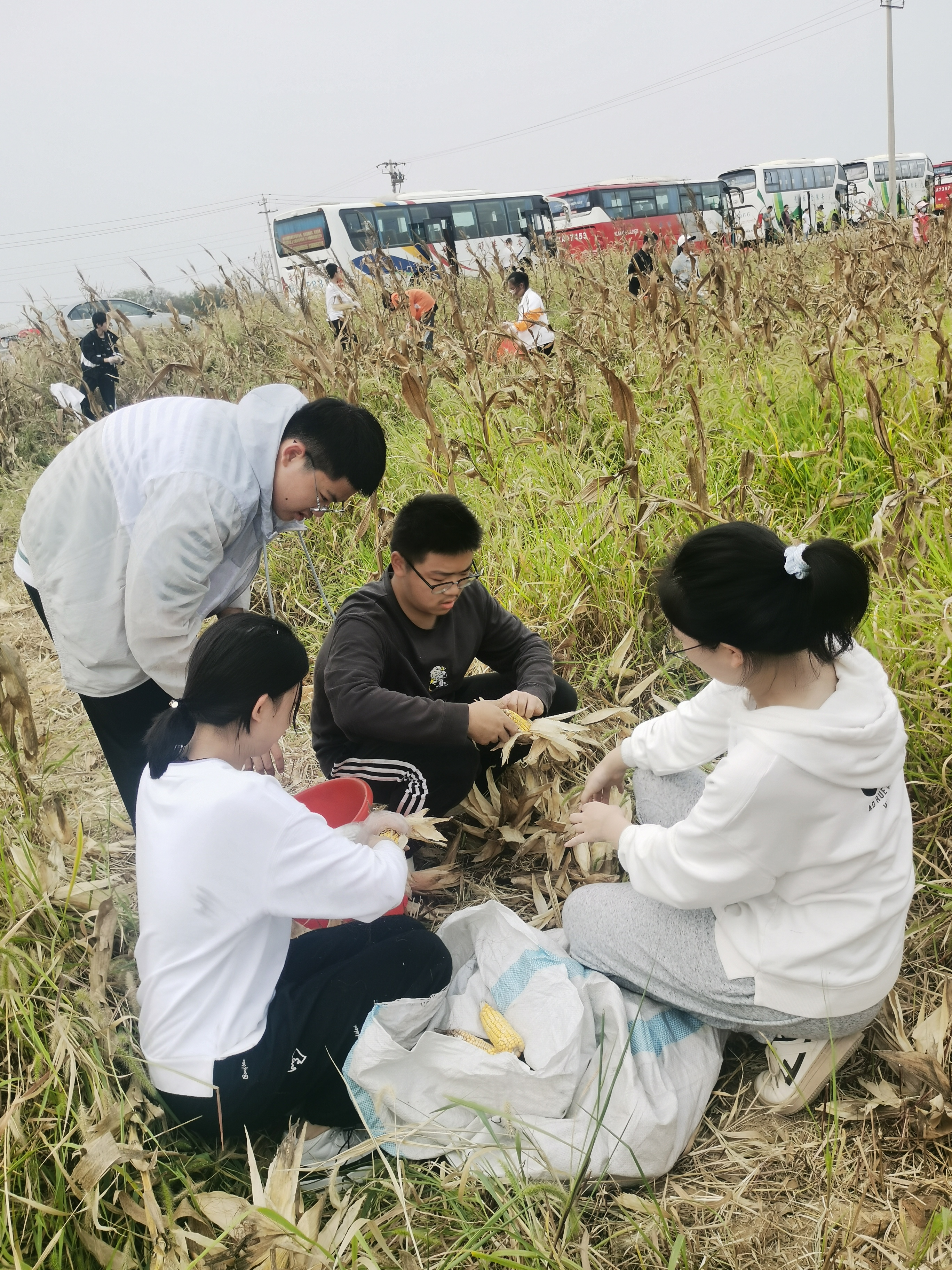 IMG_20220923_140148.jpg IMG_20220923_140148.jpg