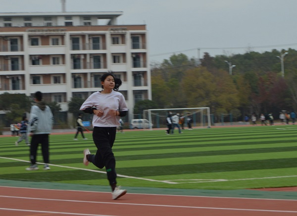 1daae533fccdc29d.jpg