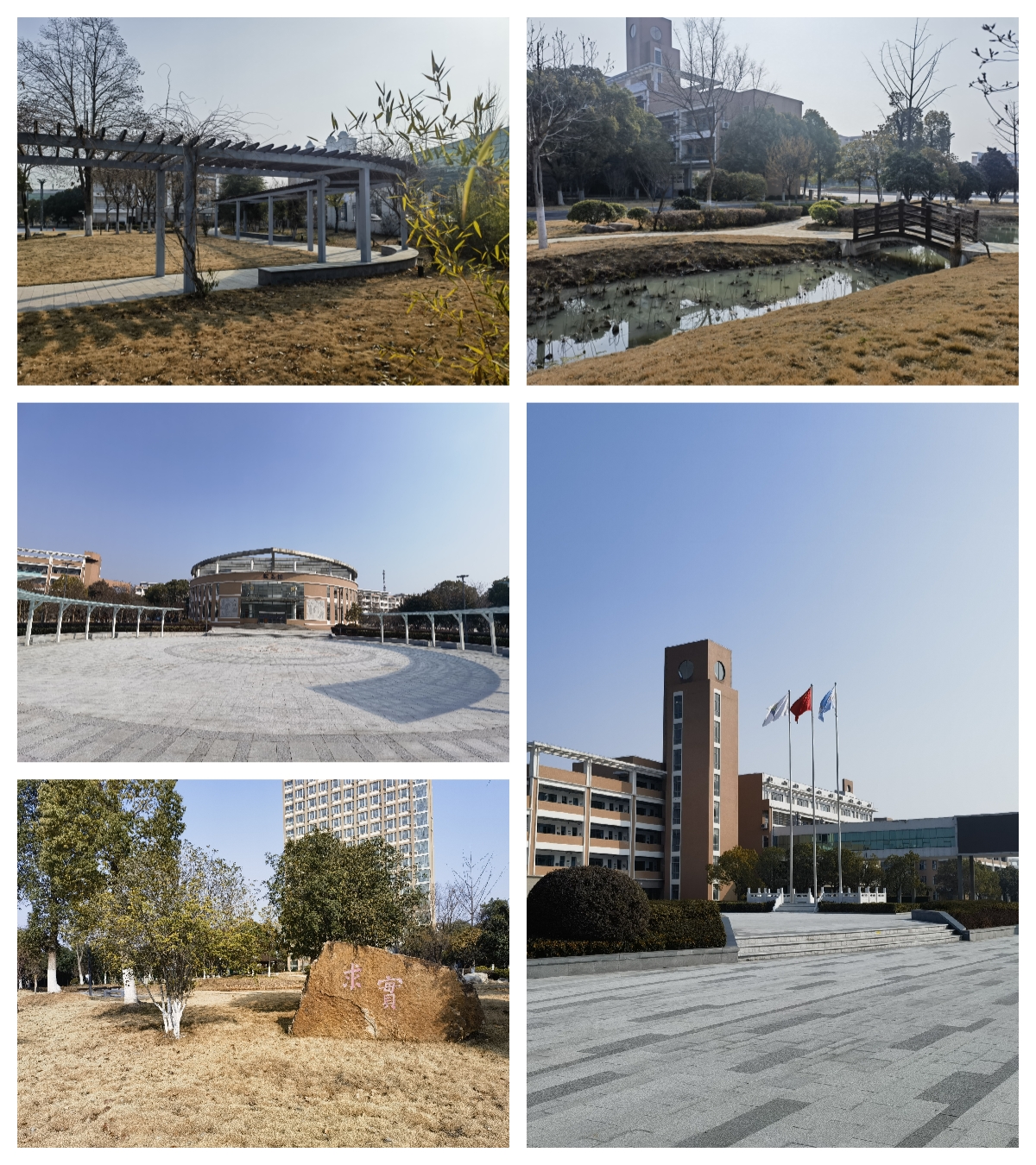 IMG_20230205_095135_副本.jpg