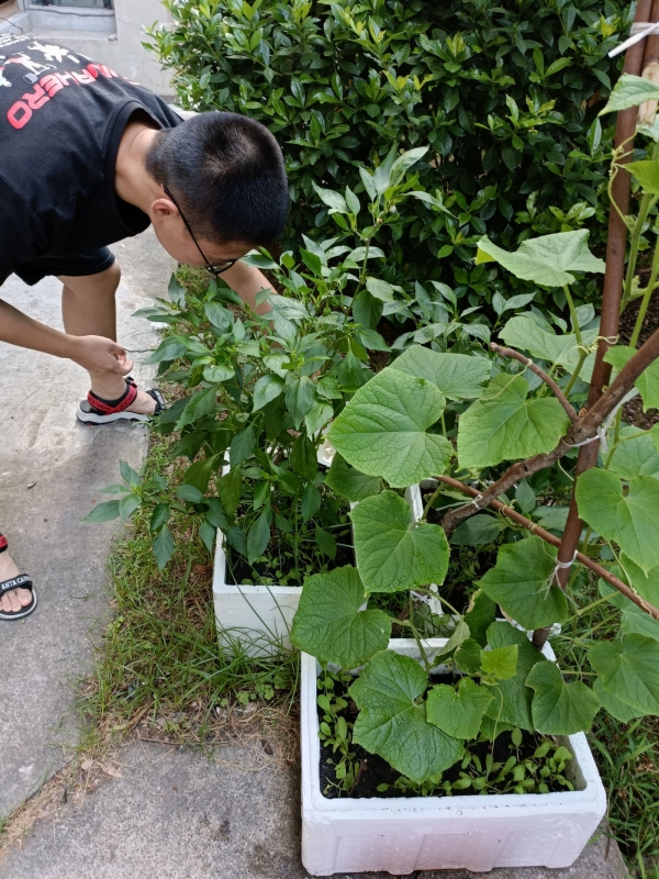 IMG_2975(20230803-101221)_副本.jpg IMG_2975(20230803-101221)_副本.jpg