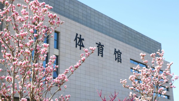 体育馆一角.JPG