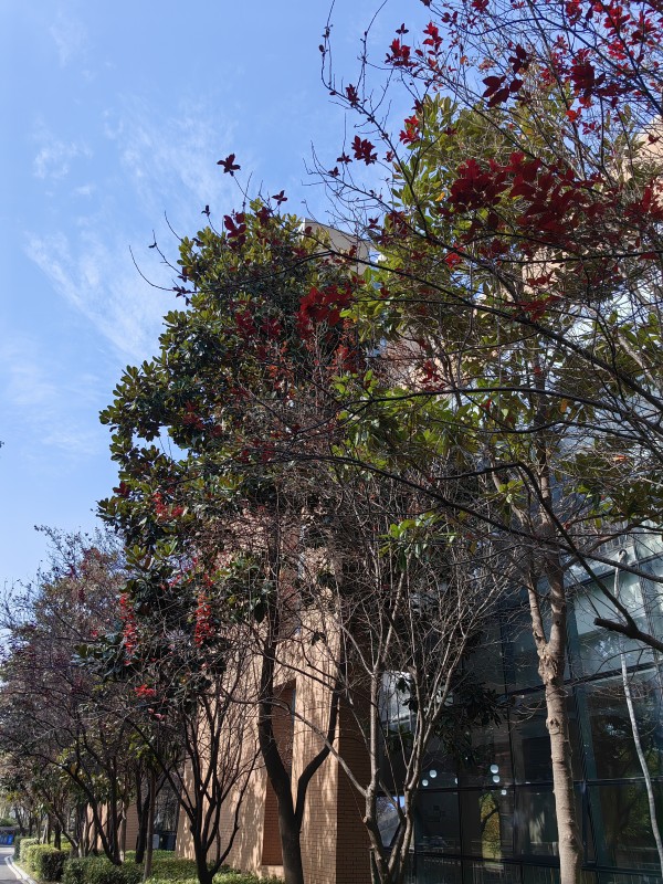 IMG_20231108_123426_副本.jpg
