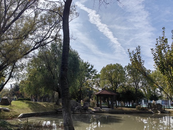IMG_20231108_123700_副本.jpg