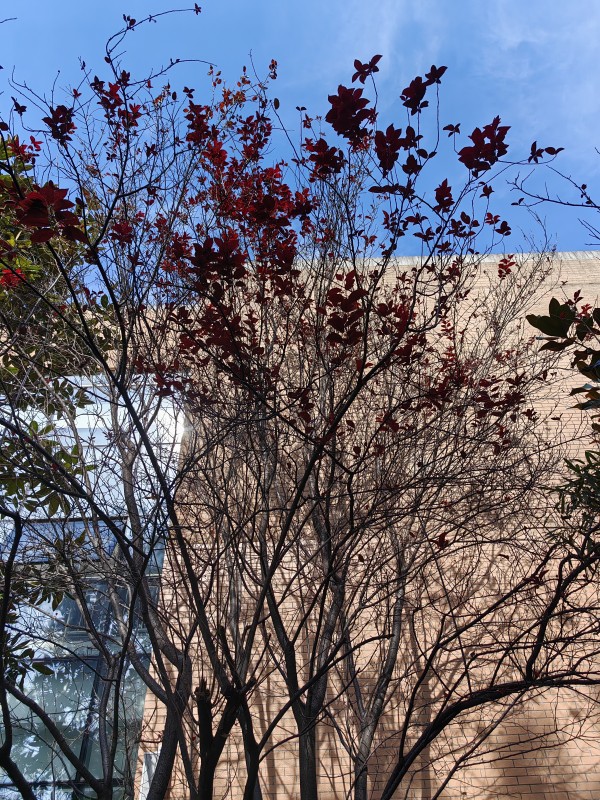 IMG_20231108_123444_副本.jpg