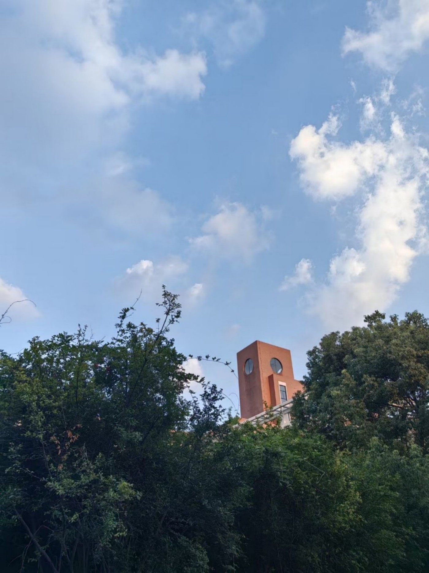 mmexport1692869845126.jpg mmexport1692869845126.jpg