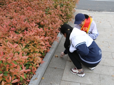 IMG_9529_副本.jpg