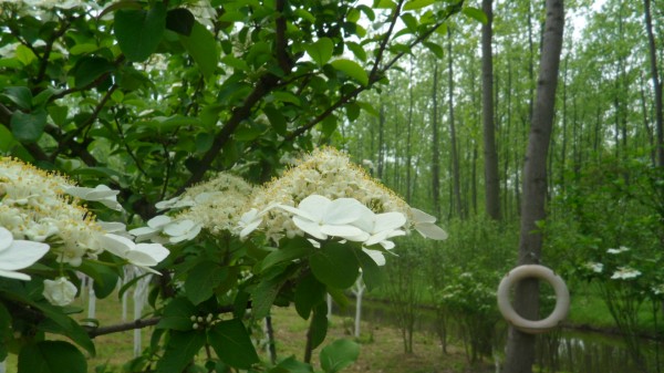 0414_4.jpg 0414_4.jpg