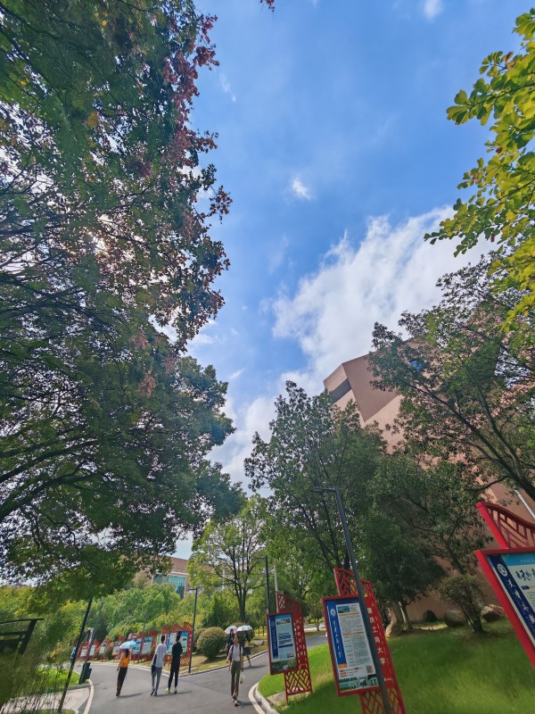 IMG_20240927_122248_副本.jpg