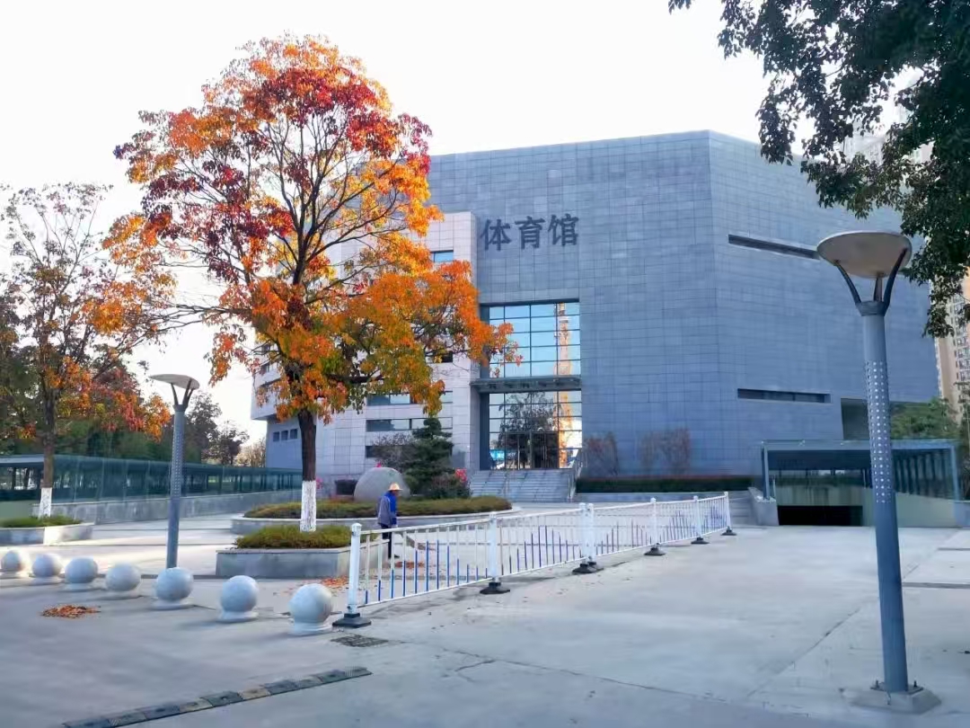 体育馆外观