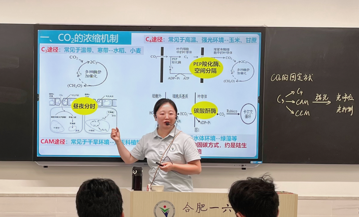 鲁元华_副本