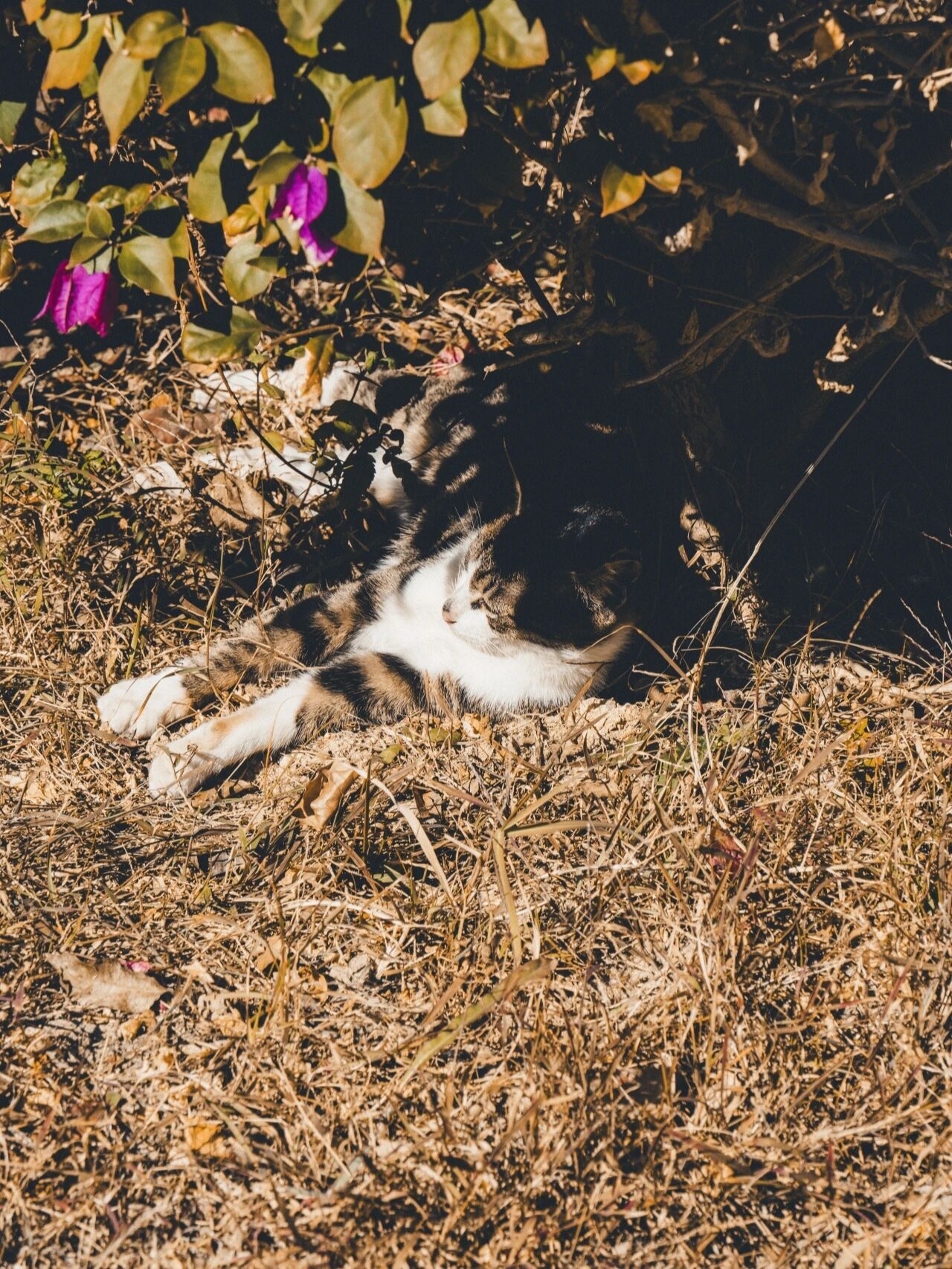 微信图片_20251207193404_192_212