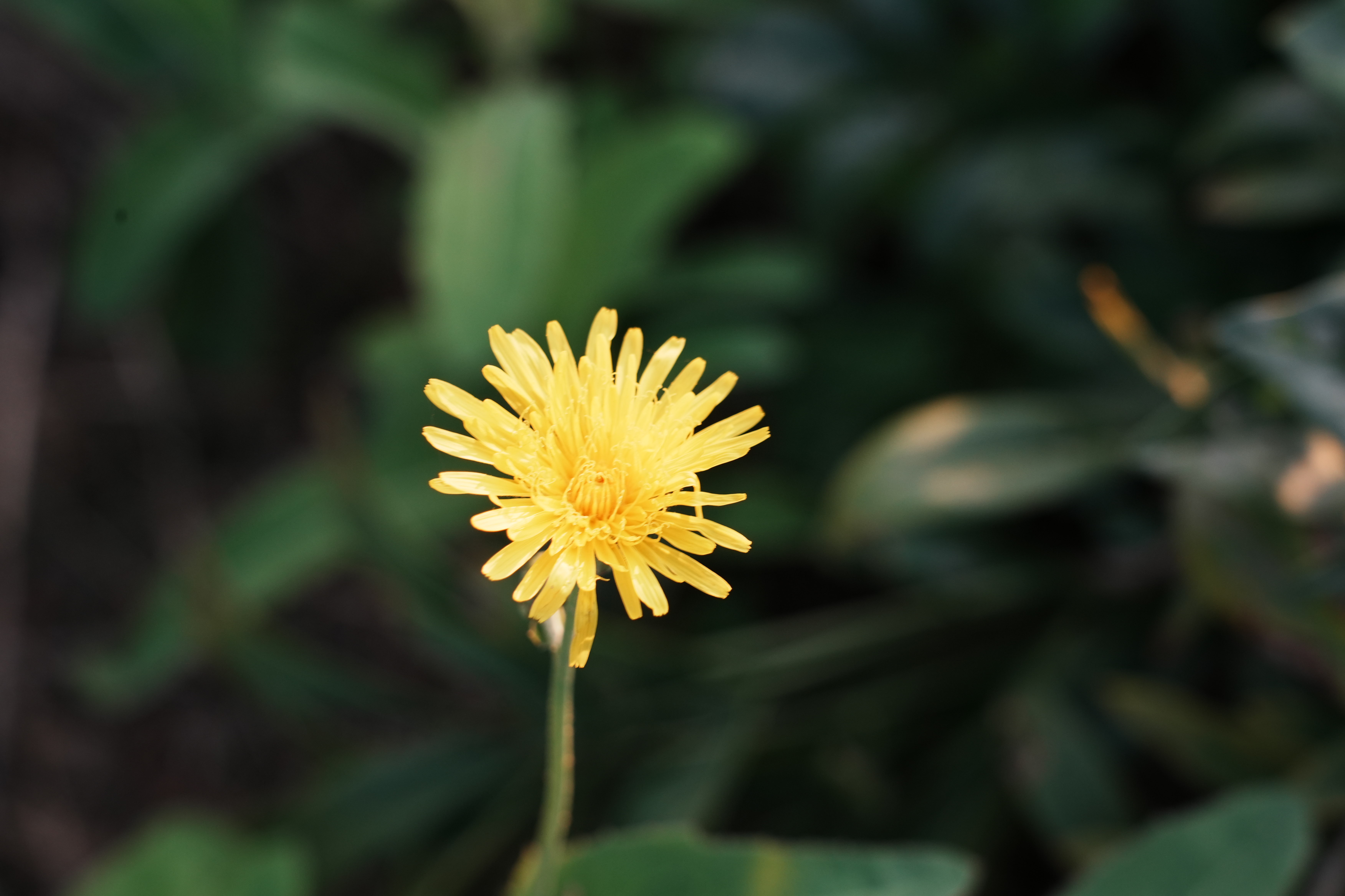 2025级6杜泽睿 (3)