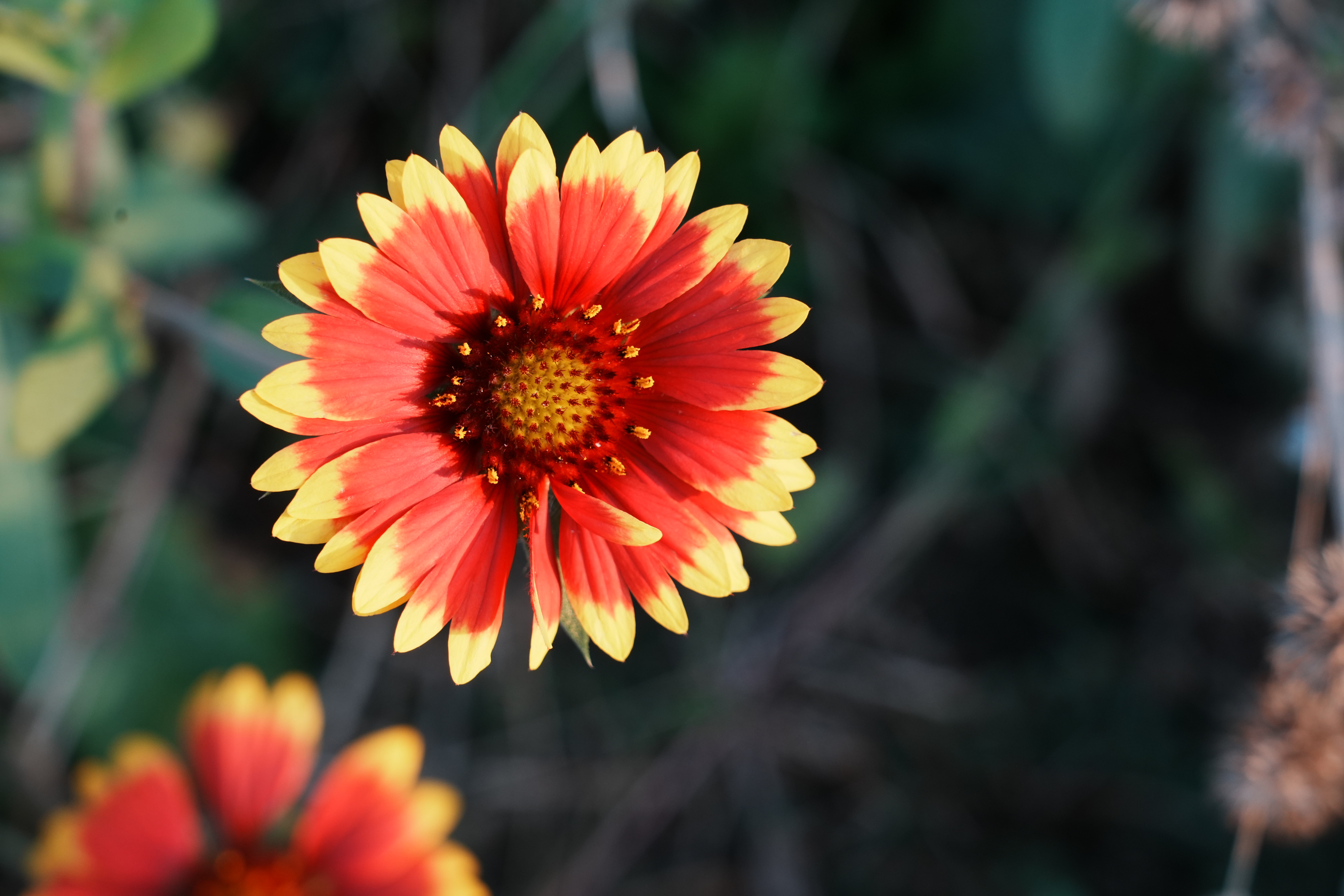 2025级6杜泽睿 (2)