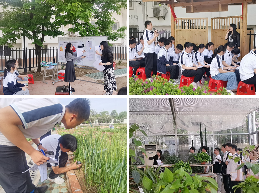 陶艾艾融合课堂