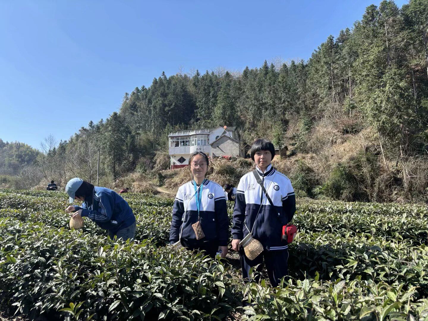 微信图片_20250322123236