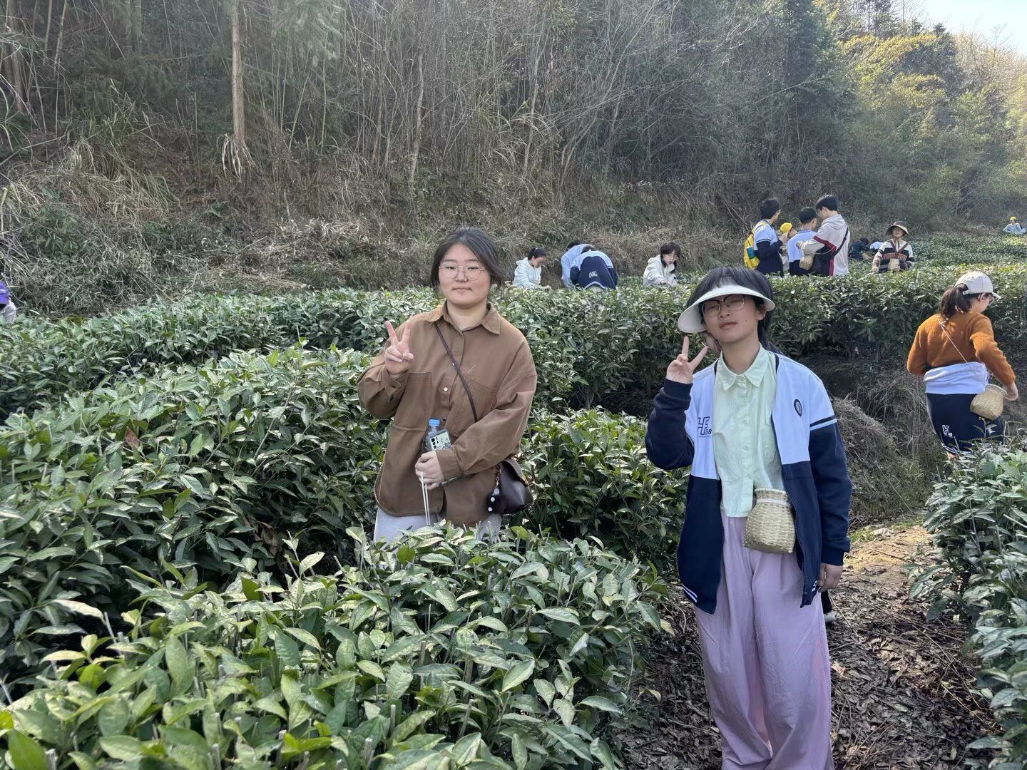 微信图片_20250322123215