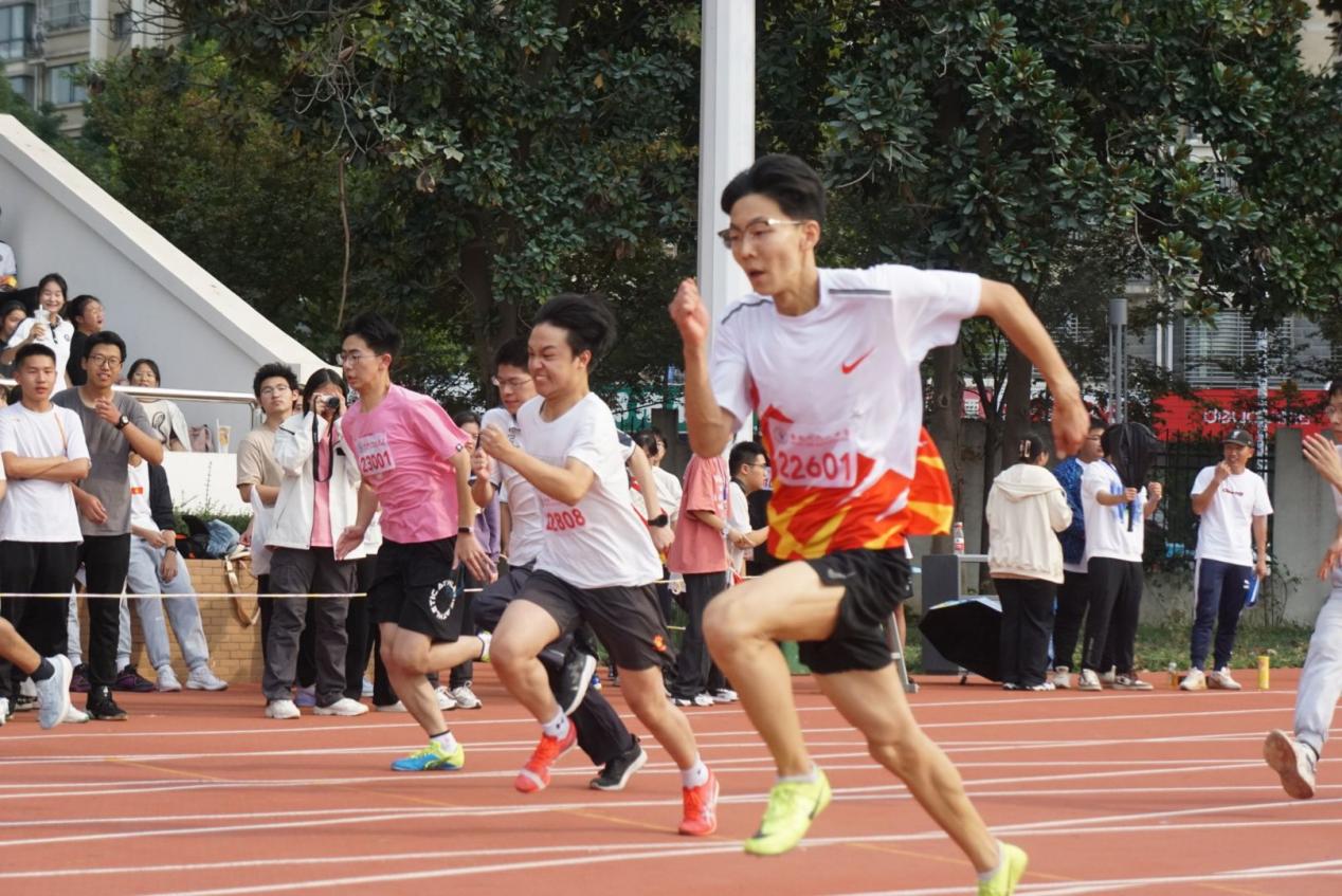 Image_47863573667365