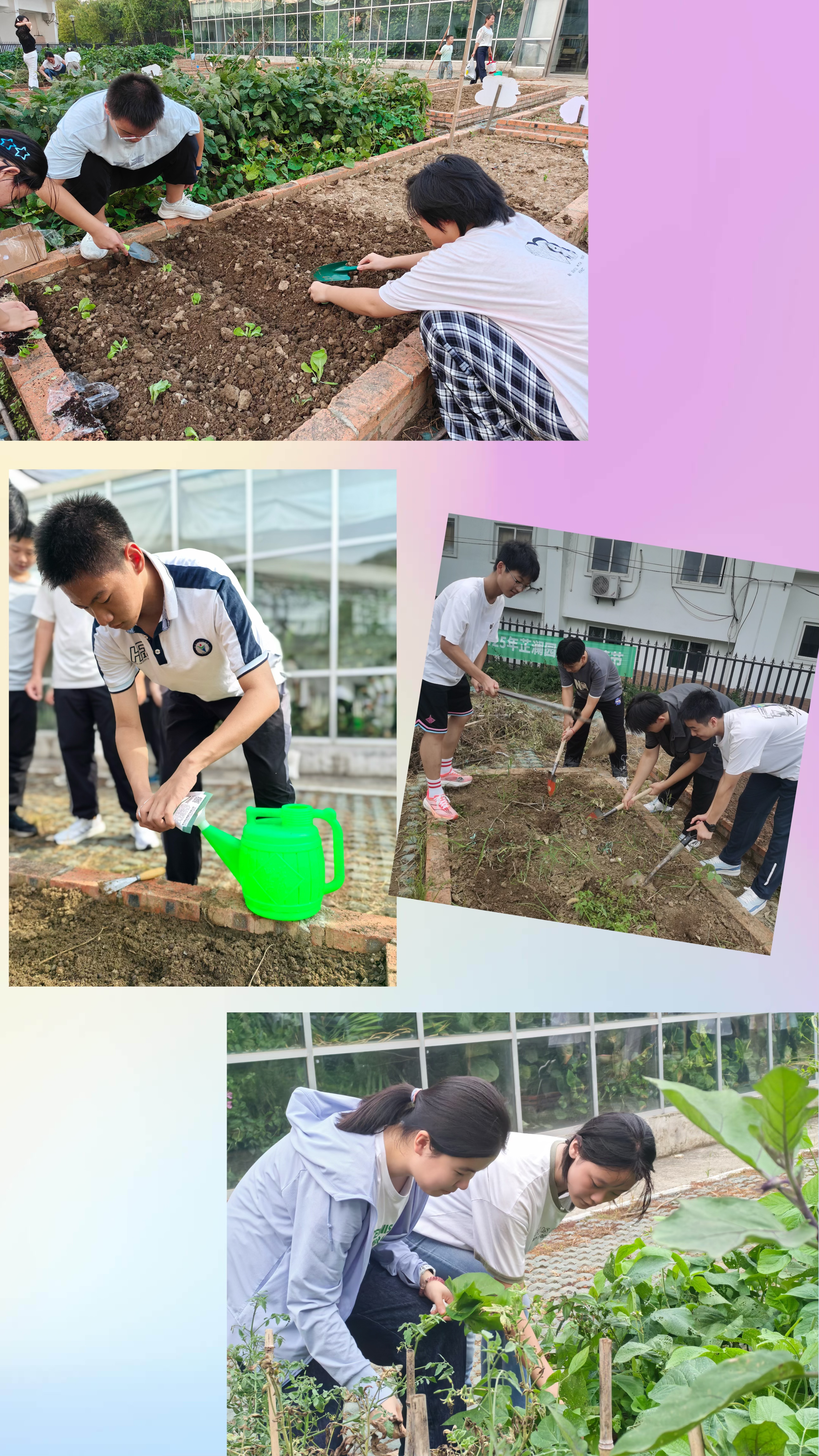 6cd146003243be79a2aa62b9aeb9b516