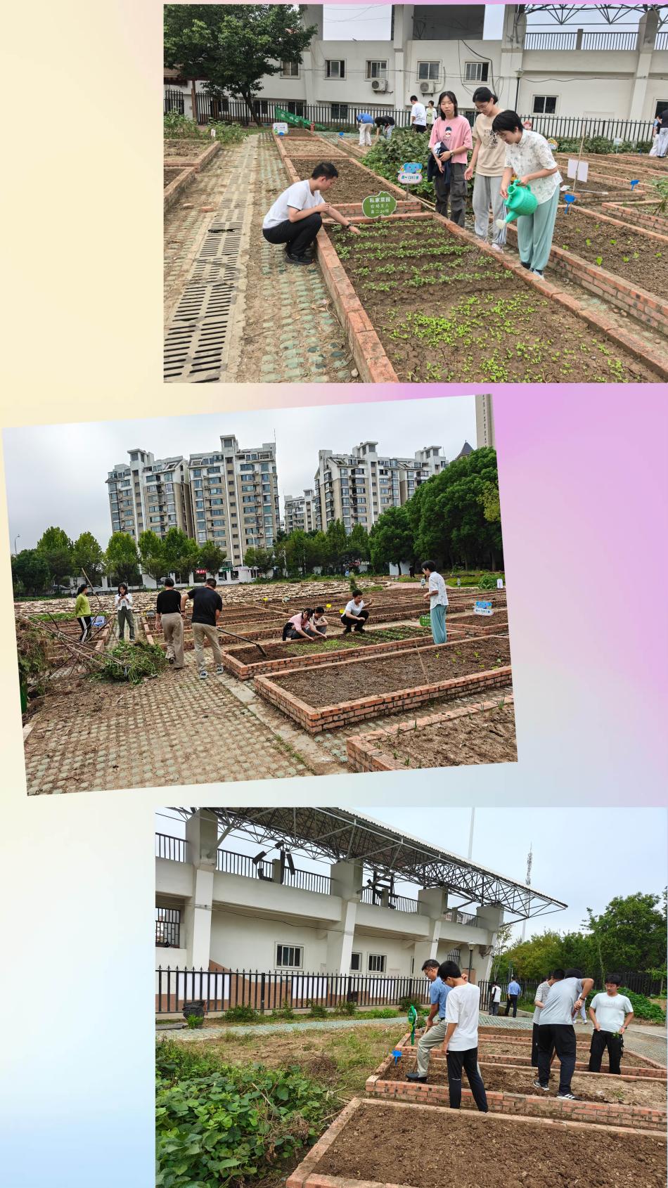 f2d65f3ce240a88a6f82bd9859e5bf17