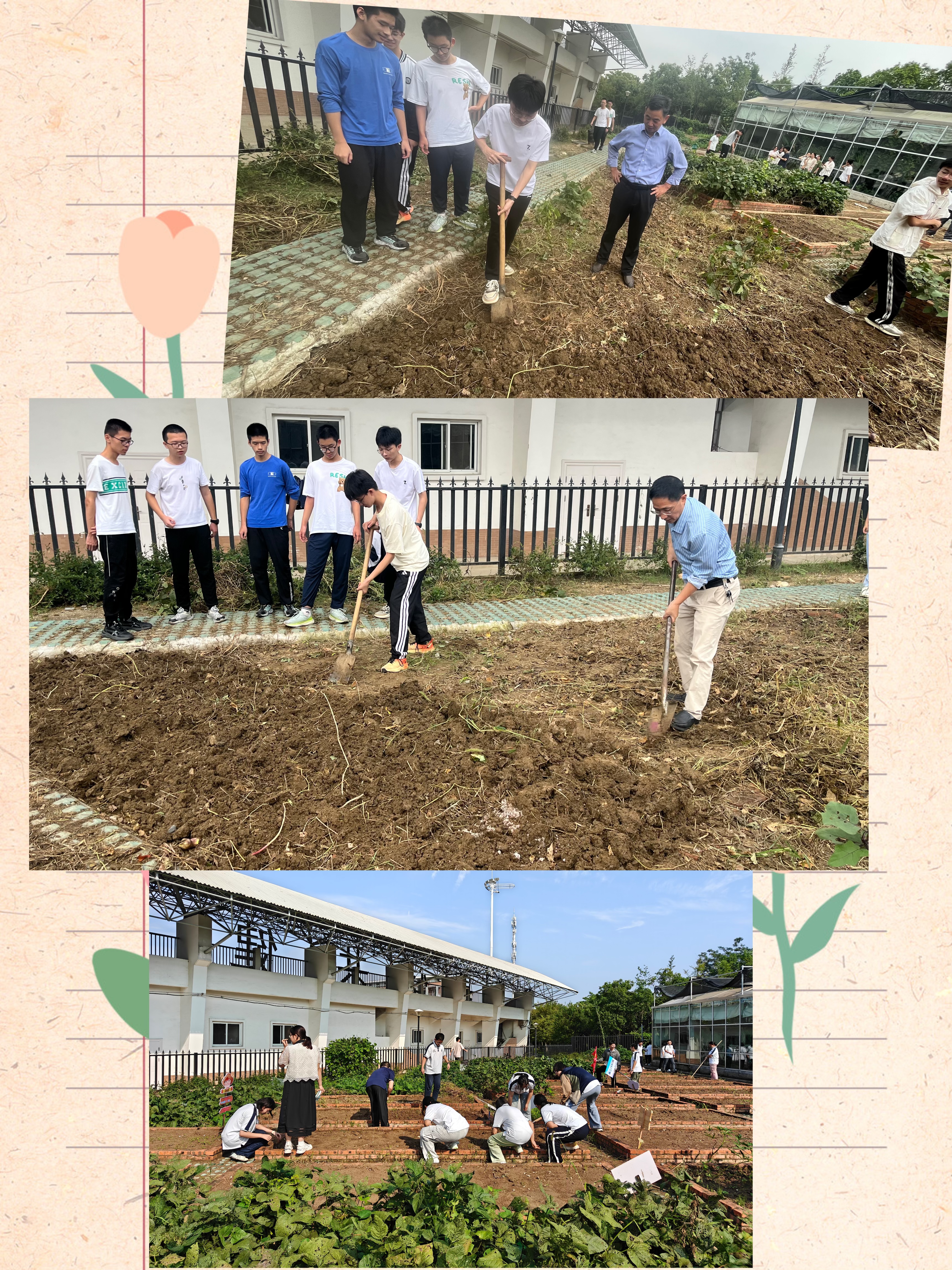 f3fbb4d0015e950c83ff794c2d9b2994