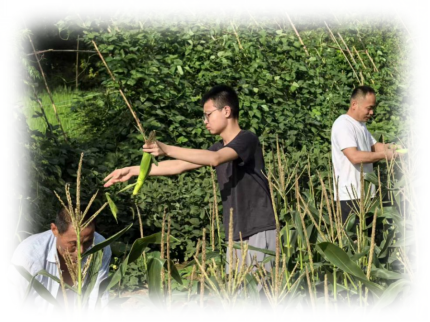 6eab2e1ed6ca50d69477ff148e0ea58c