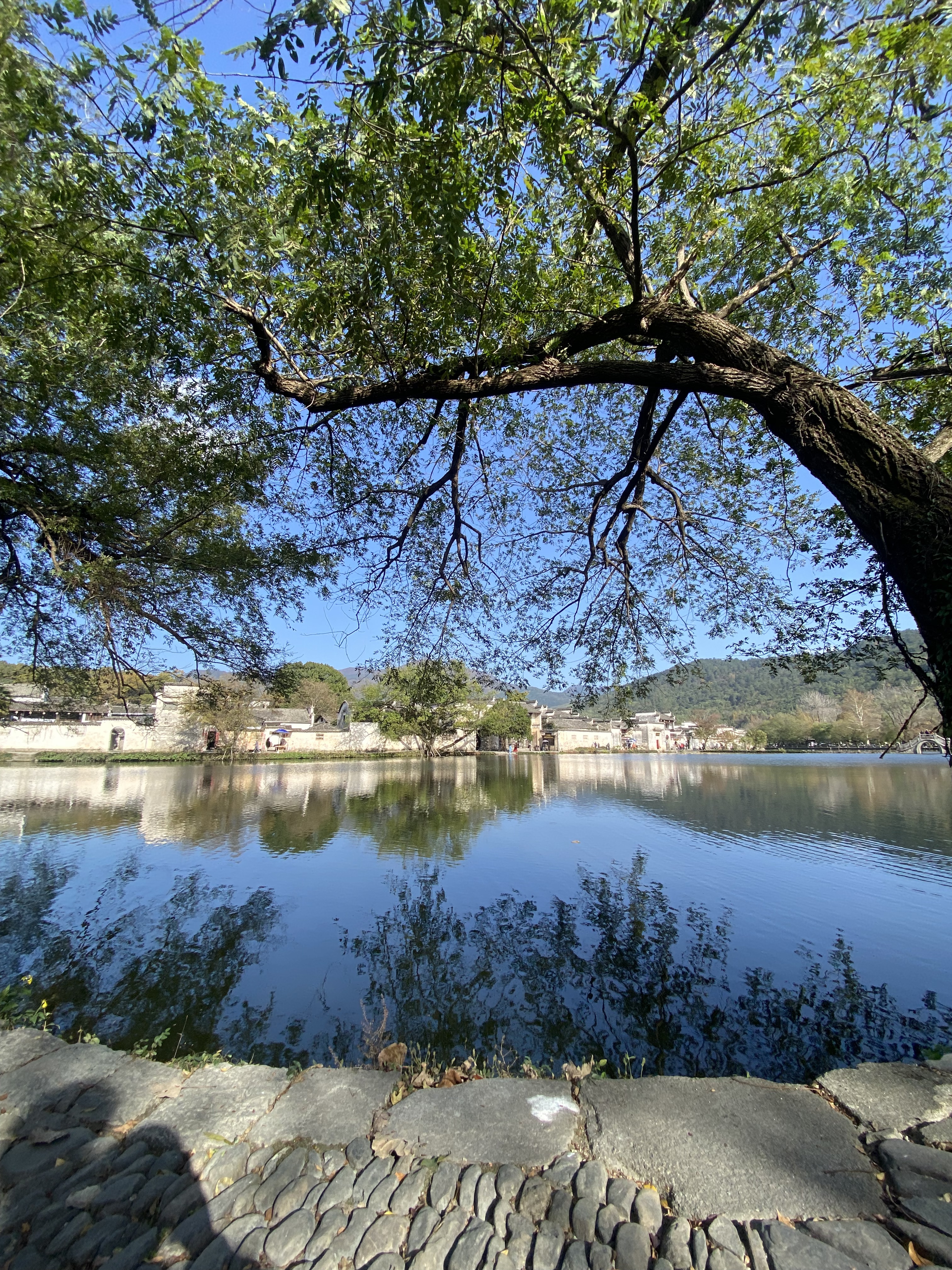 d3ade0f4b7a30168d65520ac23a54b61