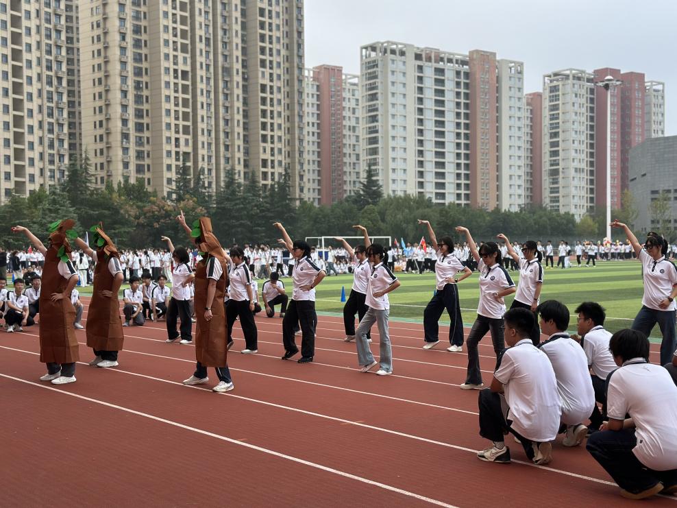 d4e981b10b516037123055aeada7b174