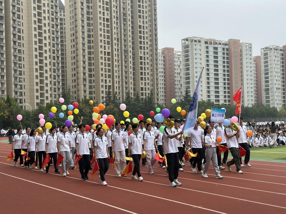 35d3a04806ddb650b332b0ce0b3e74d5