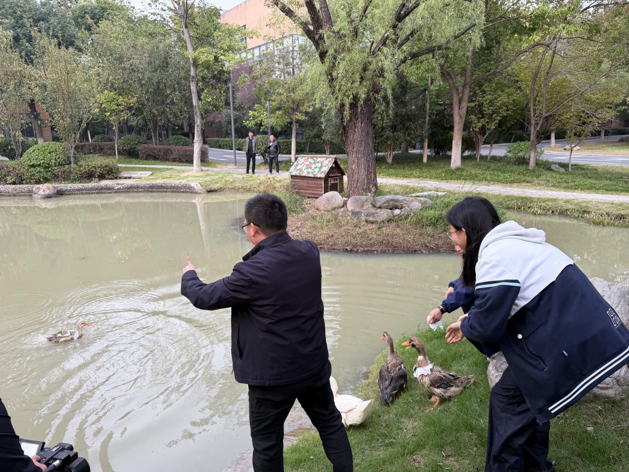 db1ec0f334ec05361e4adc7ab9dd0258