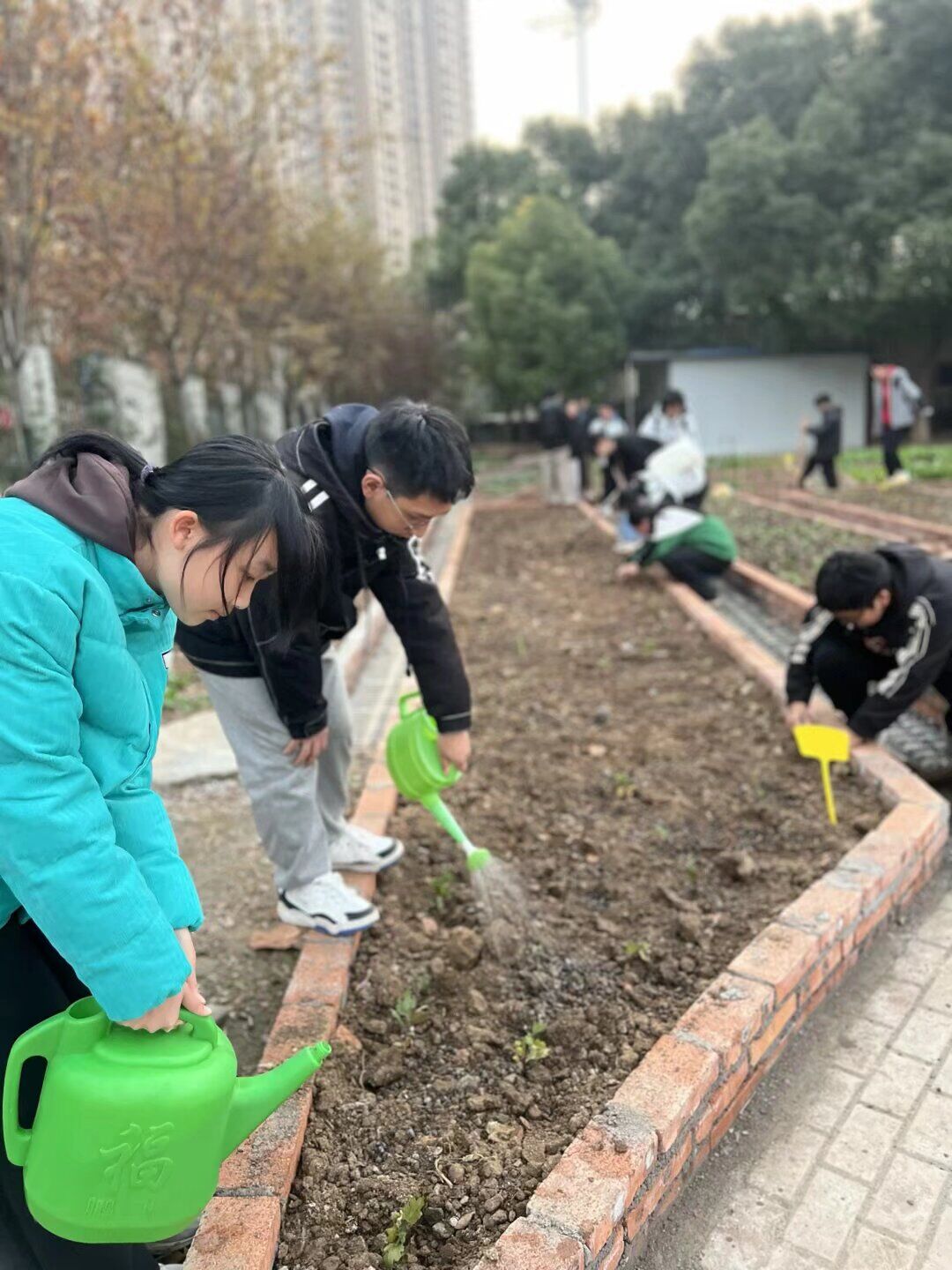 QQ图片20251229104818