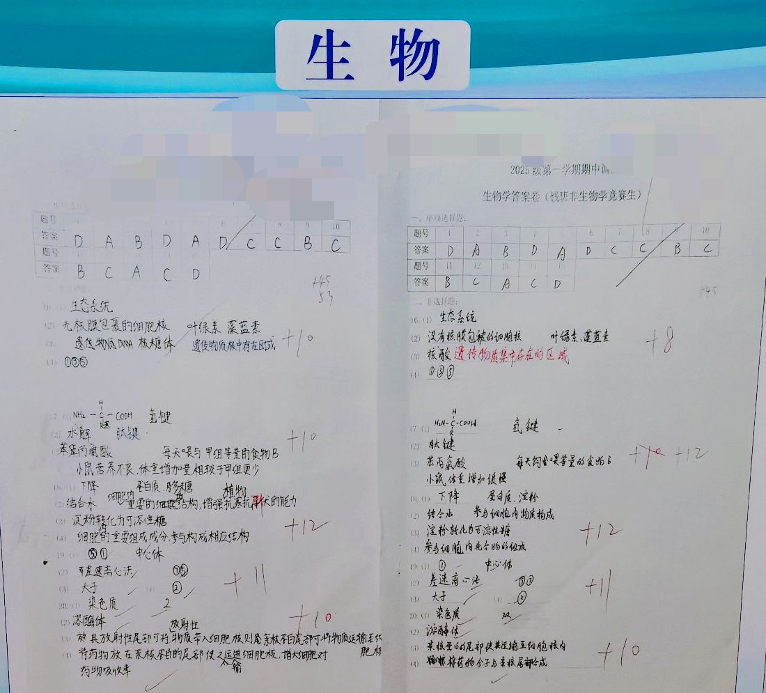 qq_pic_merged_1765075155657